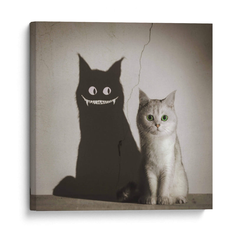 La sombra te sonríe - Terry F | Cuadro decorativo de Canvas Lab