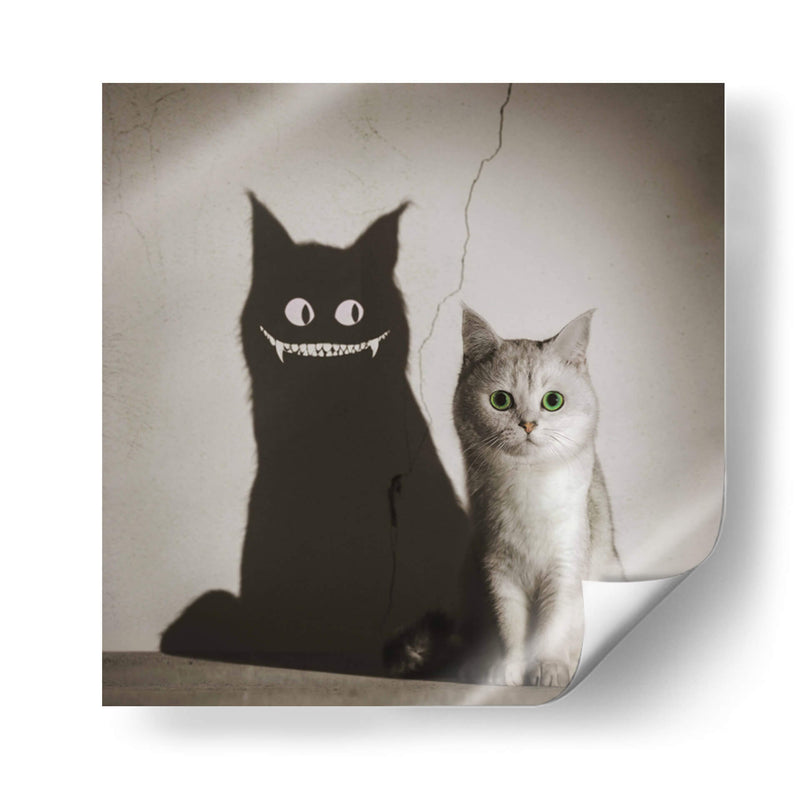 La sombra te sonríe - Terry F | Cuadro decorativo de Canvas Lab