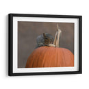 Squirrel Skippy 2e mouvement en citrouille mineure - Patrick Dessureault | Cuadro decorativo de Canvas Lab