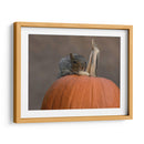 Squirrel Skippy 2e mouvement en citrouille mineure - Patrick Dessureault | Cuadro decorativo de Canvas Lab