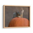 Squirrel Skippy 2e mouvement en citrouille mineure - Patrick Dessureault | Cuadro decorativo de Canvas Lab