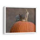 Squirrel Skippy 2e mouvement en citrouille mineure - Patrick Dessureault | Cuadro decorativo de Canvas Lab