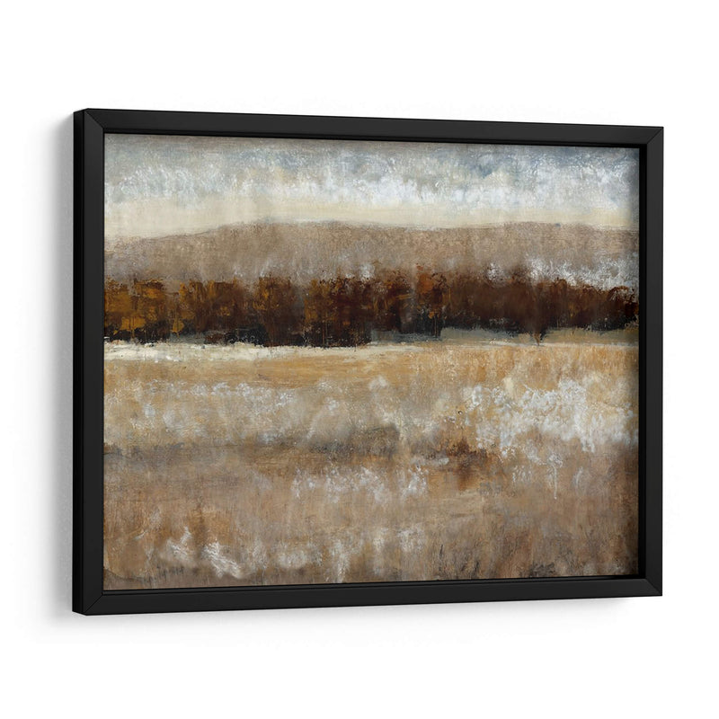 Umber Light Ii - Tim OToole | Cuadro decorativo de Canvas Lab