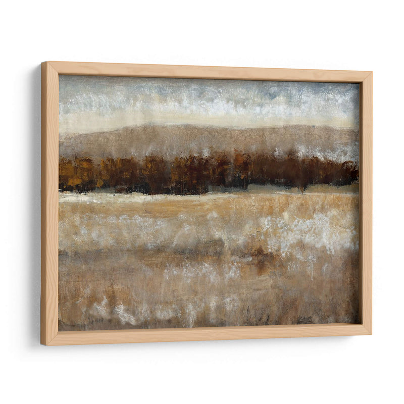 Umber Light Ii - Tim OToole | Cuadro decorativo de Canvas Lab