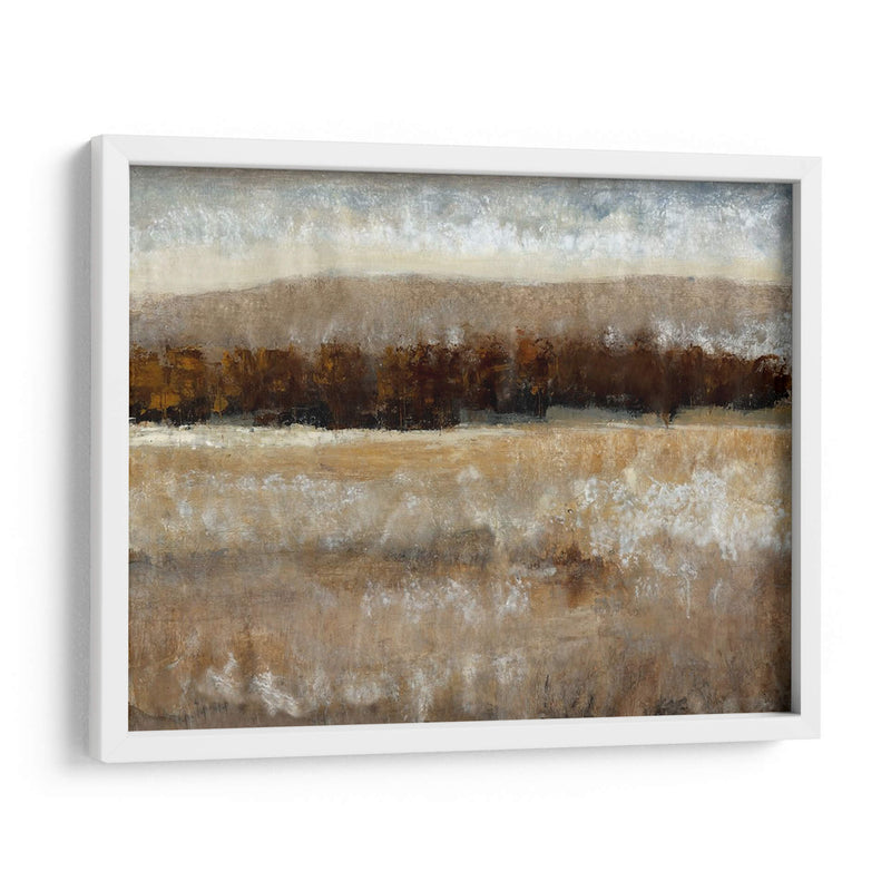 Umber Light Ii - Tim OToole | Cuadro decorativo de Canvas Lab