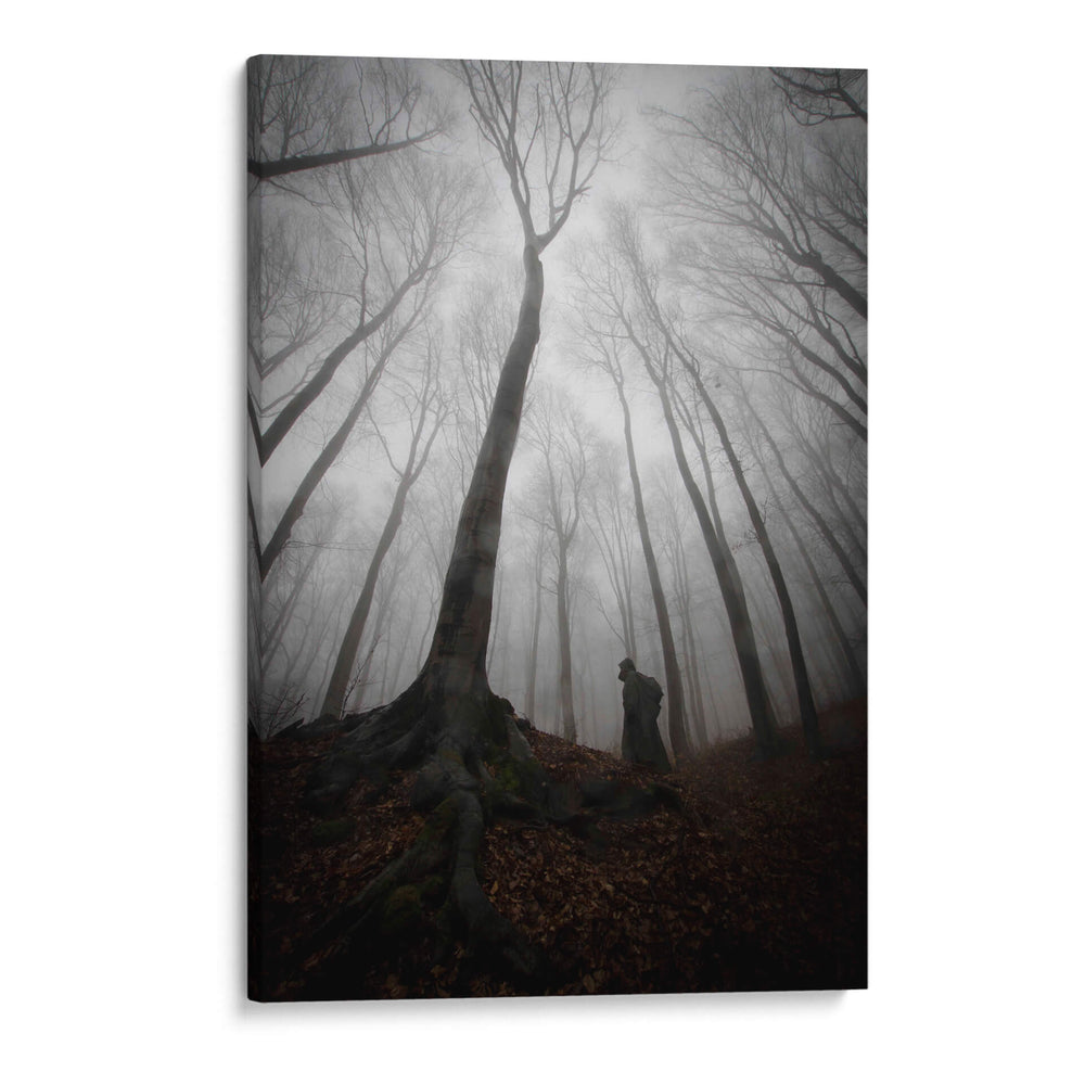 Silueta misteriosa bajo un árbol gigante - PhotoCosma | Cuadro decorativo de Canvas Lab