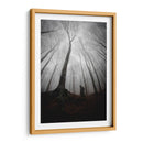 Silueta misteriosa bajo un árbol gigante - PhotoCosma | Cuadro decorativo de Canvas Lab