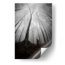 Silueta misteriosa bajo un árbol gigante - PhotoCosma | Cuadro decorativo de Canvas Lab