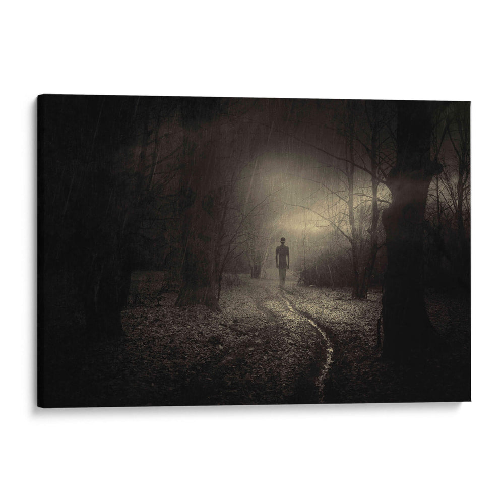 Silueta inquietante - PhotoCosma | Cuadro decorativo de Canvas Lab