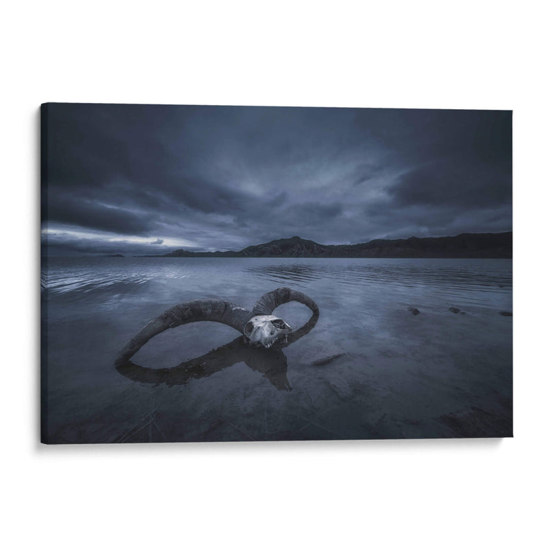 Playa de hueso blanco - TIANQI | Cuadro decorativo de Canvas Lab