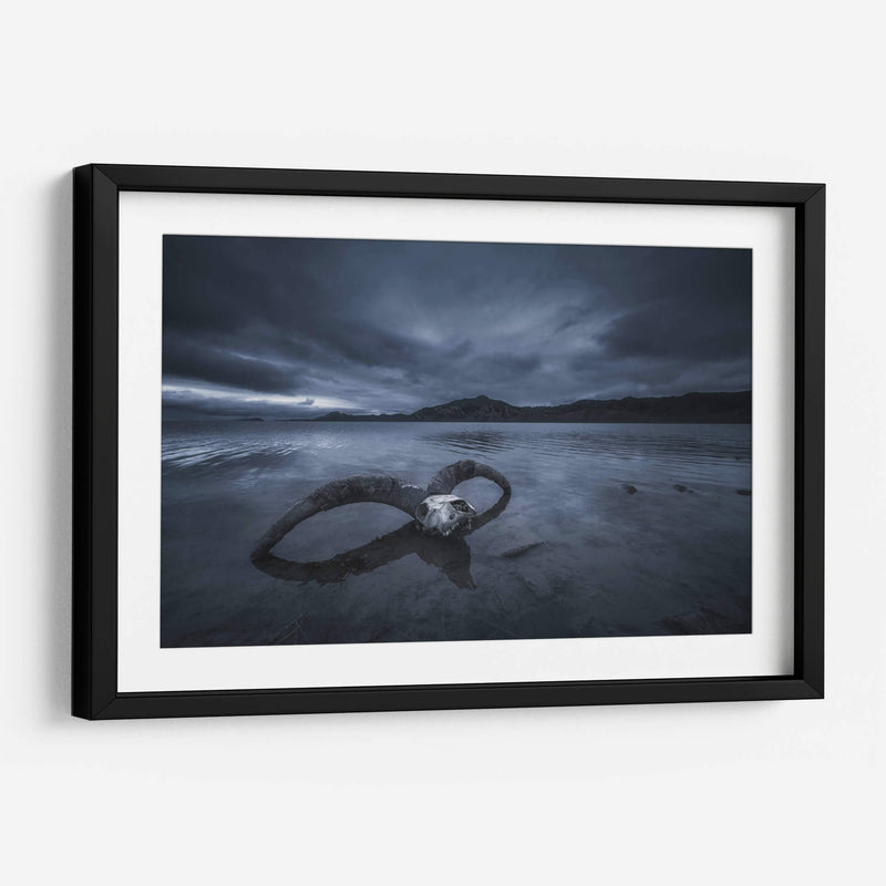 Playa de hueso blanco - TIANQI | Cuadro decorativo de Canvas Lab