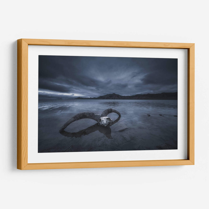 Playa de hueso blanco - TIANQI | Cuadro decorativo de Canvas Lab