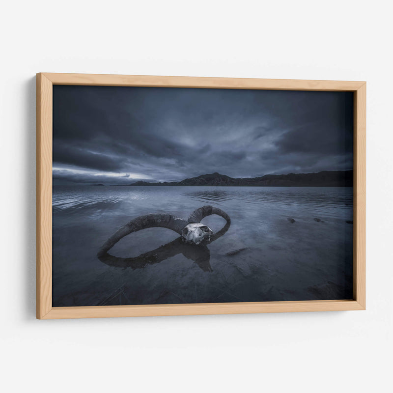 Playa de hueso blanco - TIANQI | Cuadro decorativo de Canvas Lab