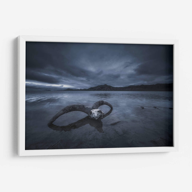 Playa de hueso blanco - TIANQI | Cuadro decorativo de Canvas Lab