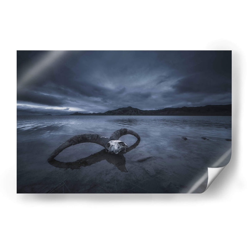 Playa de hueso blanco - TIANQI | Cuadro decorativo de Canvas Lab