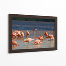 Flamingos en Celestun, Yucatan, Mexico - PMOB | Cuadro decorativo de Canvas Lab