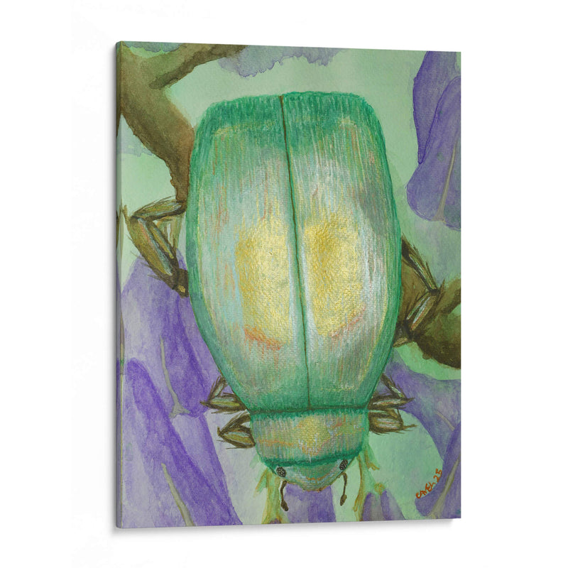 Escarabajo iridiscente en jacaranda - PMOB | Cuadro decorativo de Canvas Lab