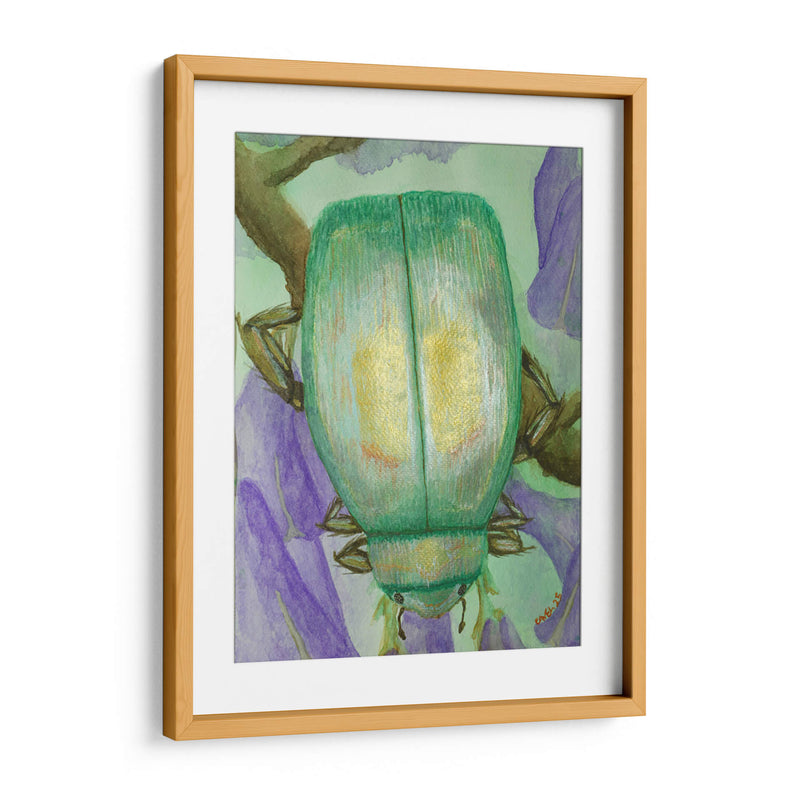 Escarabajo iridiscente en jacaranda - PMOB | Cuadro decorativo de Canvas Lab
