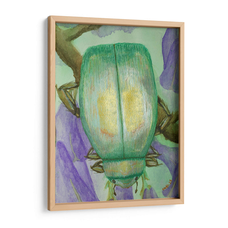 Escarabajo iridiscente en jacaranda - PMOB | Cuadro decorativo de Canvas Lab