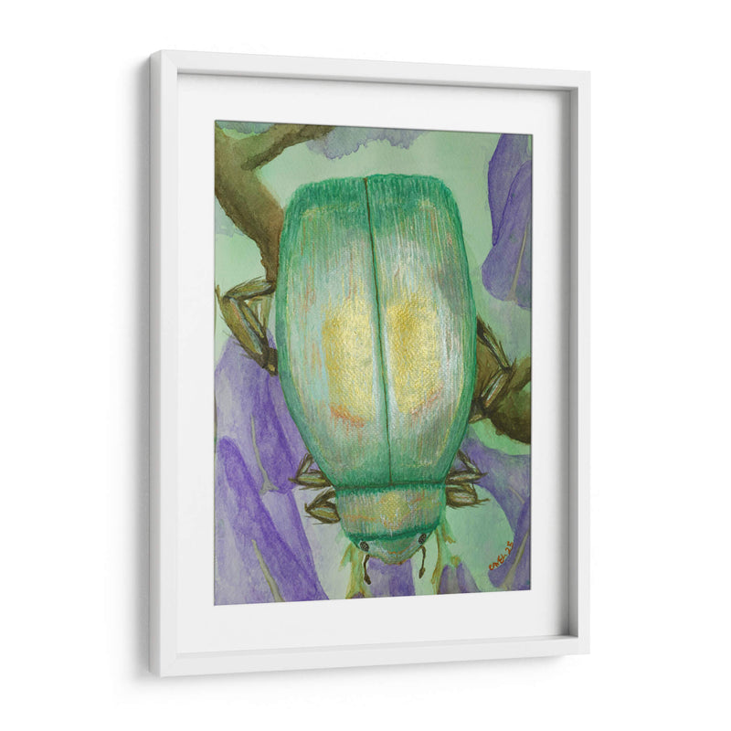 Escarabajo iridiscente en jacaranda - PMOB | Cuadro decorativo de Canvas Lab
