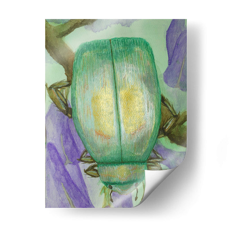 Escarabajo iridiscente en jacaranda - PMOB | Cuadro decorativo de Canvas Lab