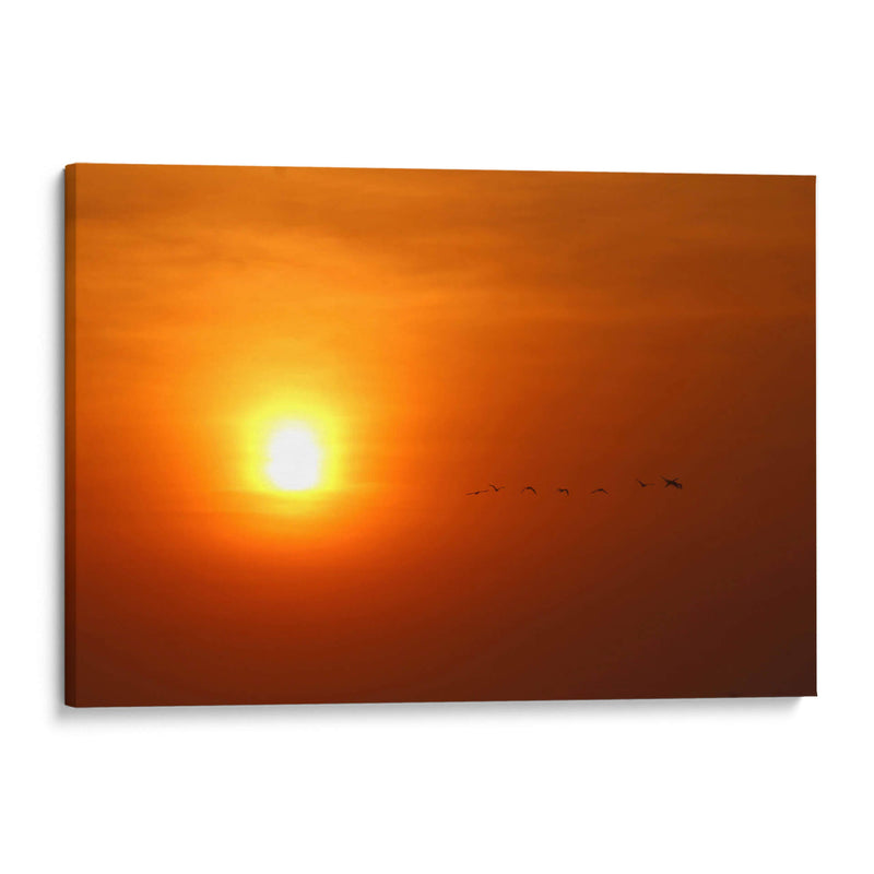 Atardecer y aves - PMOB | Cuadro decorativo de Canvas Lab