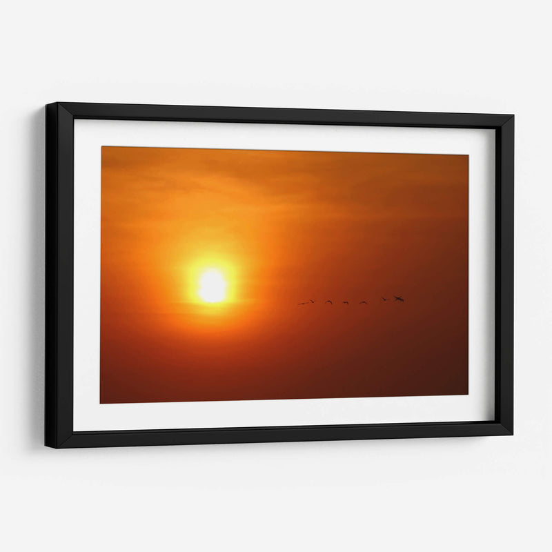 Atardecer y aves - PMOB | Cuadro decorativo de Canvas Lab