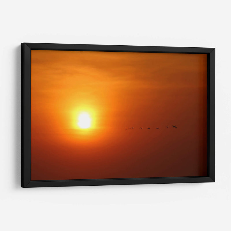 Atardecer y aves - PMOB | Cuadro decorativo de Canvas Lab