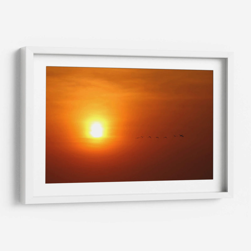 Atardecer y aves - PMOB | Cuadro decorativo de Canvas Lab