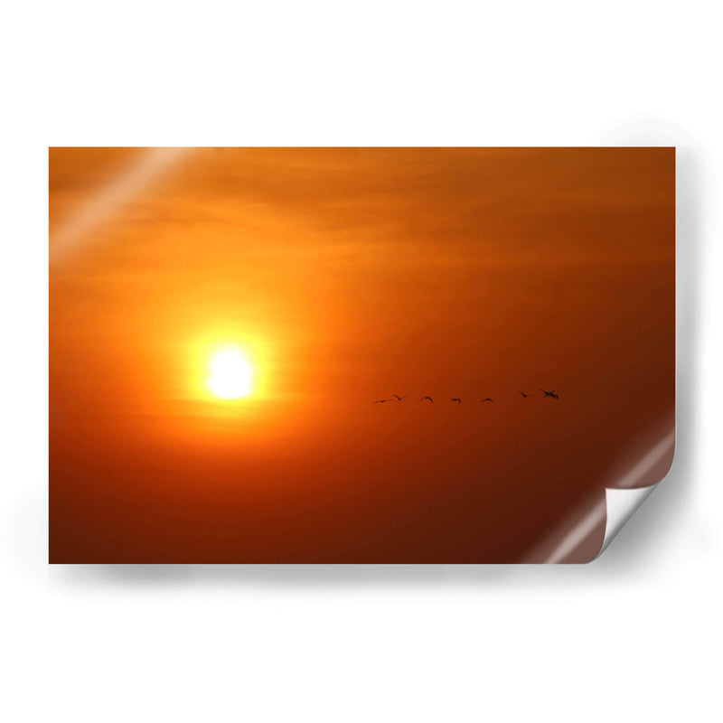 Atardecer y aves - PMOB | Cuadro decorativo de Canvas Lab