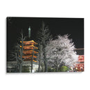 Pagoda y cerezo floreado - PMOB | Cuadro decorativo de Canvas Lab
