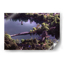 Parque en Beijing - PMOB | Cuadro decorativo de Canvas Lab