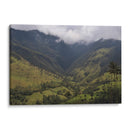 Valle de Cocora en Salento Colombia - Luis Rodrigo Magaña Andrade | Cuadro decorativo de Canvas Lab