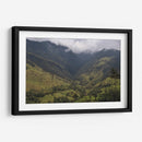 Valle de Cocora en Salento Colombia - Luis Rodrigo Magaña Andrade | Cuadro decorativo de Canvas Lab