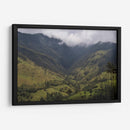 Valle de Cocora en Salento Colombia - Luis Rodrigo Magaña Andrade | Cuadro decorativo de Canvas Lab