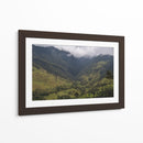 Valle de Cocora en Salento Colombia - Luis Rodrigo Magaña Andrade | Cuadro decorativo de Canvas Lab