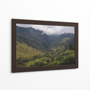 Valle de Cocora en Salento Colombia - Luis Rodrigo Magaña Andrade | Cuadro decorativo de Canvas Lab