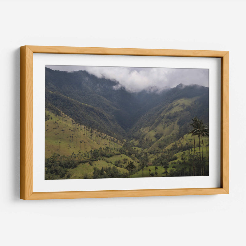 Valle de Cocora en Salento Colombia - Luis Rodrigo Magaña Andrade | Cuadro decorativo de Canvas Lab