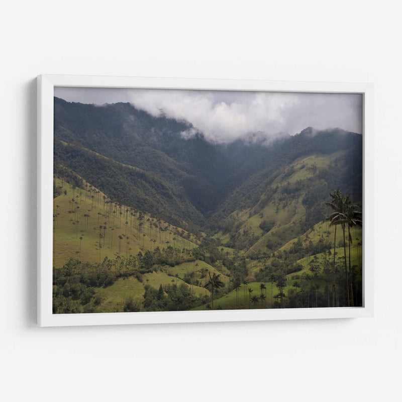 Valle de Cocora en Salento Colombia - Luis Rodrigo Magaña Andrade | Cuadro decorativo de Canvas Lab
