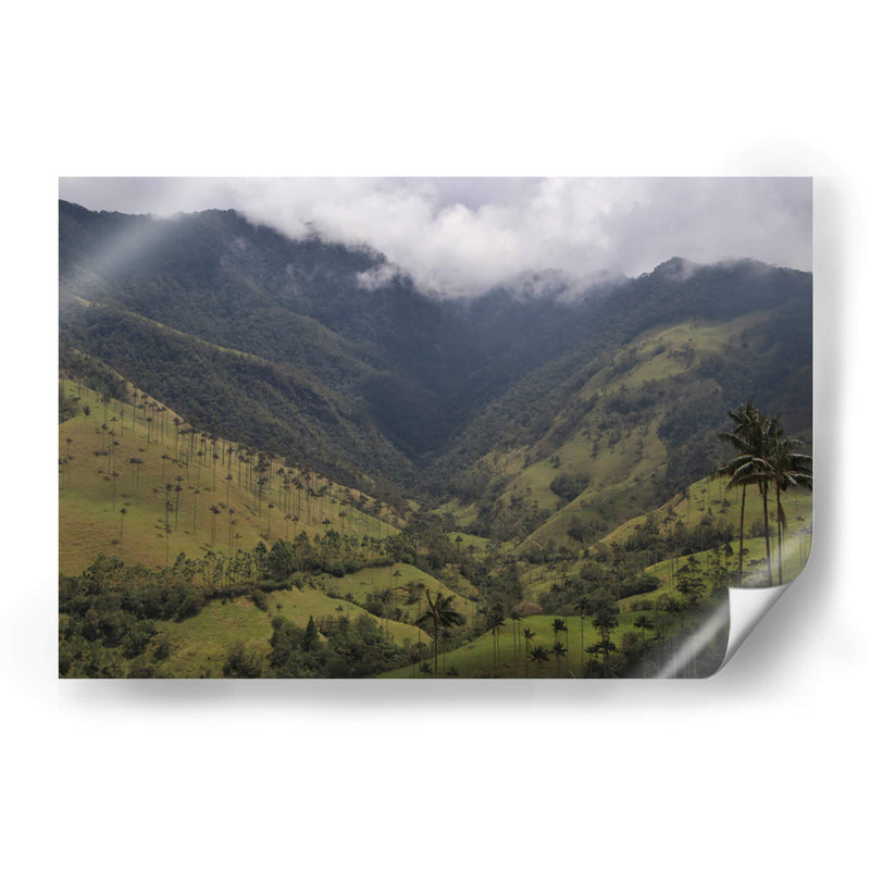 Valle de Cocora en Salento Colombia - Luis Rodrigo Magaña Andrade | Cuadro decorativo de Canvas Lab