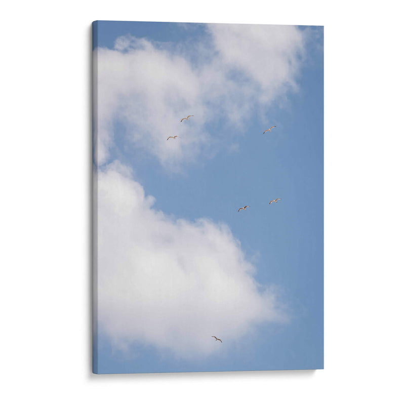 Pajaros en el Cielo - Wandering Pixels Co. | Cuadro decorativo de Canvas Lab