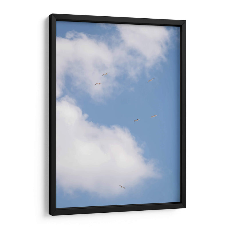 Pajaros en el Cielo - Wandering Pixels Co. | Cuadro decorativo de Canvas Lab