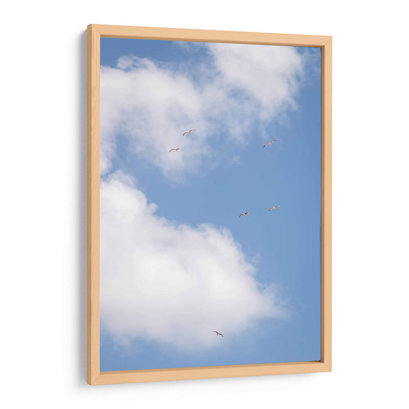 Pajaros en el Cielo - Wandering Pixels Co. | Cuadro decorativo de Canvas Lab