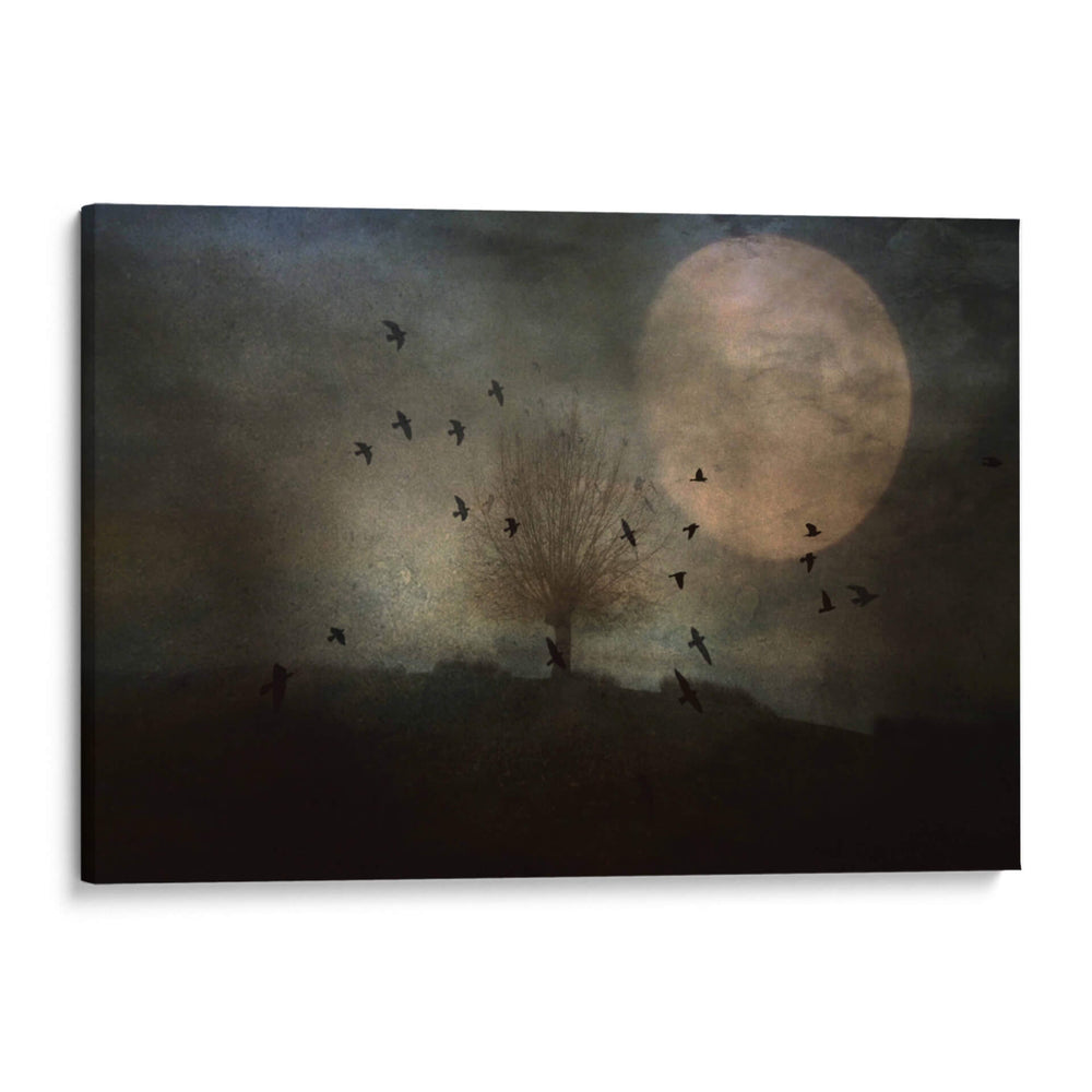 La noche se acerca - Robert Fabrowski | Cuadro decorativo de Canvas Lab