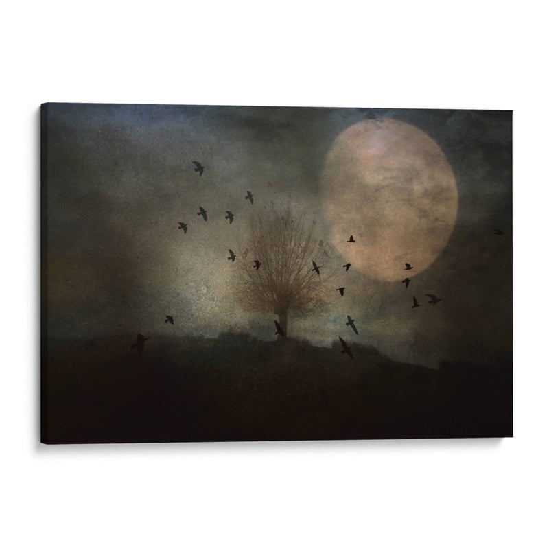 La noche se acerca - Robert Fabrowski | Cuadro decorativo de Canvas Lab