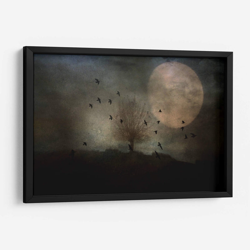 La noche se acerca - Robert Fabrowski | Cuadro decorativo de Canvas Lab