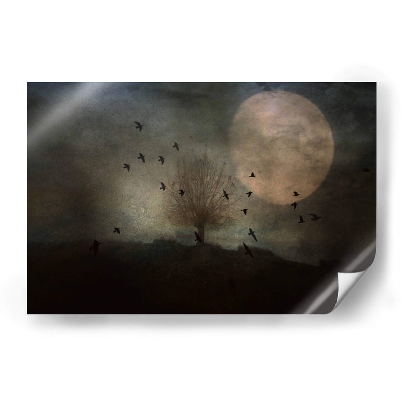 La noche se acerca - Robert Fabrowski | Cuadro decorativo de Canvas Lab