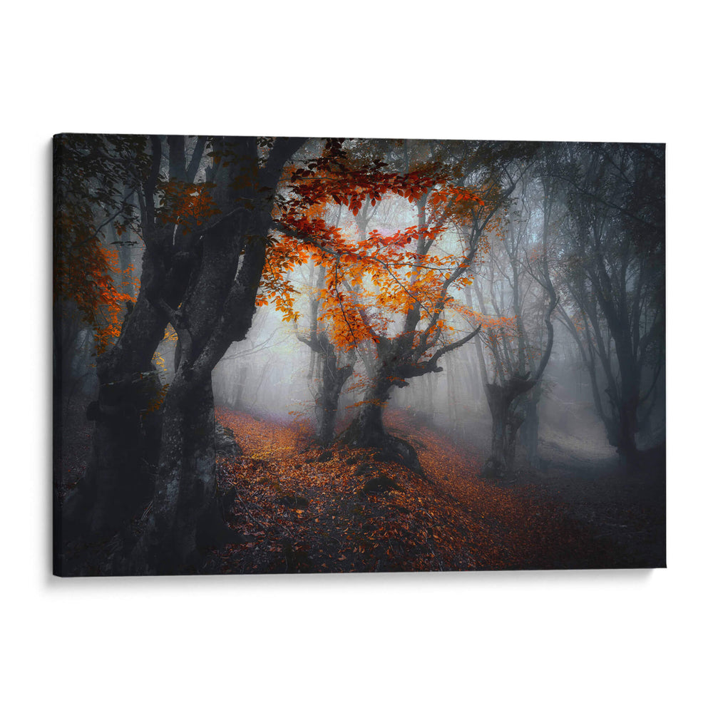 Colores de otoño - Fabrizio Massetti | Cuadro decorativo de Canvas Lab