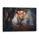 Colores de otoño - Fabrizio Massetti | Cuadro decorativo de Canvas Lab