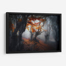 Colores de otoño - Fabrizio Massetti | Cuadro decorativo de Canvas Lab